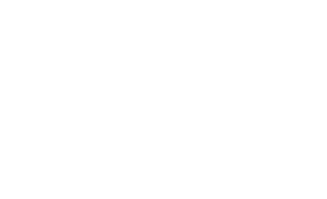log-blason