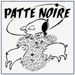 test-pn test-pn