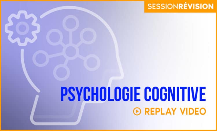 Révision : Psychologie cognitive