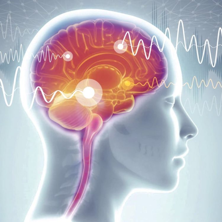 Formation aux tests neuropsychologiques 25